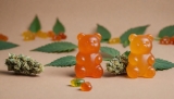 What to know about Full Spectrum CBD Gummies?