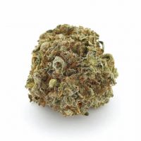 gorilla-glue-cbd gorilla-glue-cbd