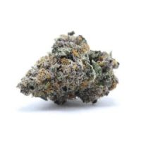harlequin-indoor-okiweed harlequin CBD