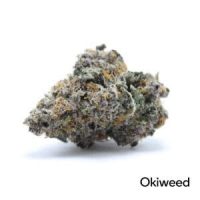 harlequin-indoor-okiweed