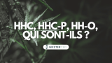 HHC, HHC-P, HHC-O : que sont ces cannabinoïdes interdits en France ?
