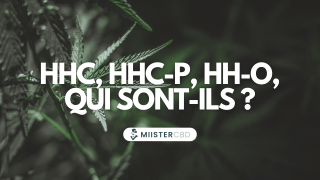 HHC, HHC-P, HHC-O : que sont ces cannabinoïdes interdits en France ?
