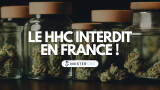 Le HHC interdit dès aujourd’hui : l’ANSM classe l’hexahydrocannabinol sur la liste des stupéfiants