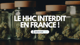 Le HHC interdit dès aujourd’hui : l’ANSM classe l’hexahydrocannabinol sur la liste des stupéfiants