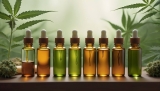How Often Should I Take CBD Oil?