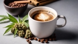 How To Make Your Own CBD Coffee At Home?