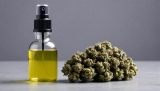 How To Use CBD Spray? The Best and Easiest Ways