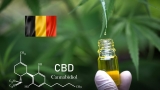 Quelle est la meilleure huile de CBD en Belgique ?
