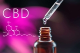 Quelle est la meilleure huile CBD Full Spectrum en 2025