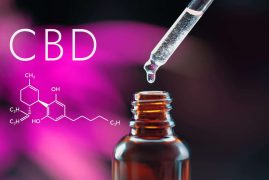 Quelle est la meilleure huile CBD Full Spectrum en 2025