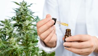 Quelle est la meilleure huile CBD pure Isolat en 2025 ?