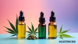 Les différences entre l’huile de chanvre et l’huile de CBD