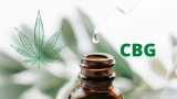 Les 5 meilleures huiles CBG (Cannabigérol) en 2025