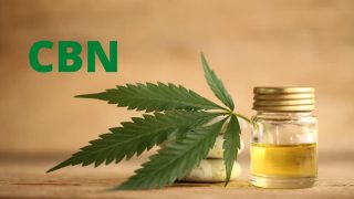 Les 5 meilleures huiles CBN (Cannabinol) en 2025