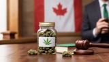 Is CBD Oil Legal in Canada?