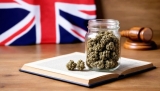 Is CBD Oil Legal in the UK?