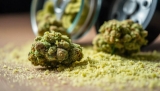 Kief and Dry Sift: The Purest Form of Cannabis Concentrates?