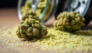 Kief and Dry Sift: The Purest Form of Cannabis Concentrates?