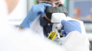 Trouvez un laboratoire CBD pour vos analyses indépendantes