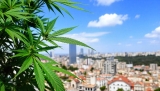 La expansión del CBD en España