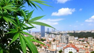 La expansión del CBD en España