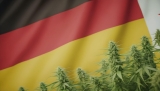 L’Allemagne légalise le cannabis récréatif : une décision déjà controversée