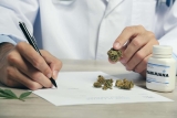 Légalisation du cannabis en Ukraine pour aider les soldats