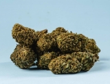 Les 10 fleurs CBD les plus puissantes en 2025