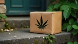 Livraison CBD 24h : les meilleures boutiques en ligne aux délais de livraison les plus rapides