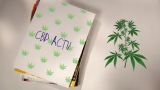 Les meilleurs magazines CBD pour les pros ou les particuliers 