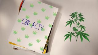 Les meilleurs magazines CBD pour les pros ou les particuliers
