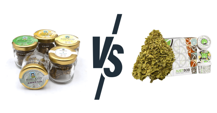 mama kana vs justbob cbd mama kana vs justbob cbd