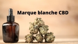 Les meilleurs services pour créer vos produits en marque blanche CBD 