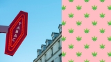 Les meilleures marques CBD pour les buralistes 