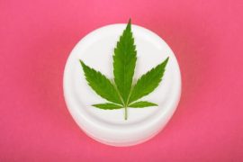 Avis sur la Crème CBD pour savoir où acheter les meilleurs cosmétiques et baumes au cannabidiol