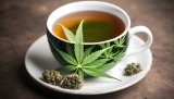 Les meilleures tisanes CBD et infusions selon les avis en 2025