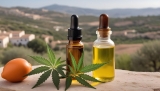 ¿Cuál es el mejor aceite CBD del mercado? Las marcas de mayo 2025
