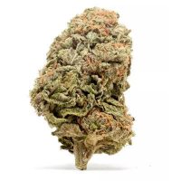 og kush OG Kush CBD