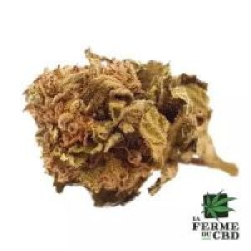 Orange Bud CBD
