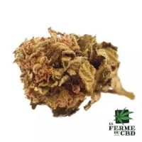 orange-bud-fleur-cbd orange-bud-fleur-cbd