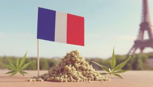 Où acheter du CBD en France ? Les commerces où vous pouvez acheter du cannabidiol