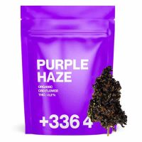 purple haze cbd