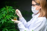 Que sont les cannabinoïdes présents dans le chanvre ?