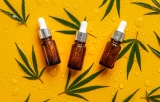 Quelle huile de CBD choisir et comment faire le bon choix ?