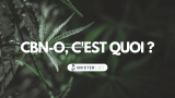 CBN-O : Tout savoir sur la version synthétique du Cannabinol
