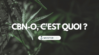 CBN-O : Tout savoir sur la version synthétique du Cannabinol