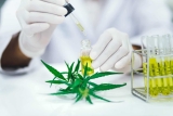 Les cannabinoïdes de synthèse, un sujet qui préoccupe