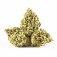 silver haze cbd silver haze cbd