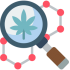CBD CBD
