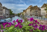 La liste des boutiques de CBD à Strasbourg actualisée en 2025